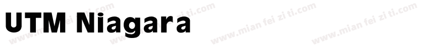 UTM Niagara字体转换